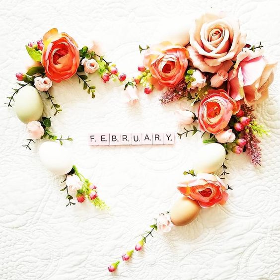 wellcome february