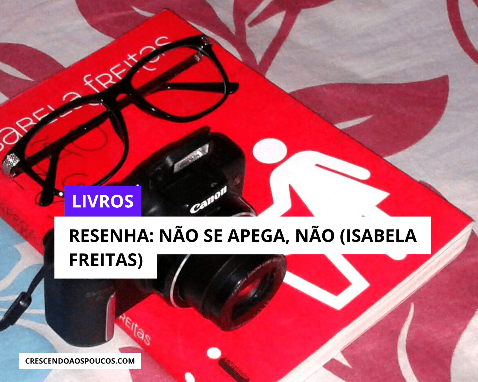 Resenha do Livro: Não se apega, não.